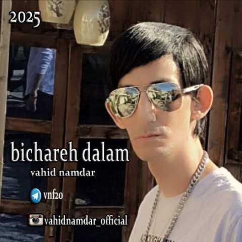 دانلود آهنگ وحید نامدار بیچاره دلم دانلود آهنگ وحید نامدار بیچاره دلم